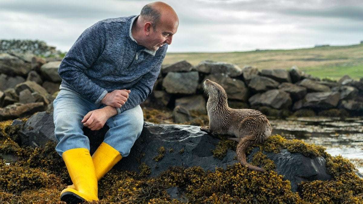 image for Molly, the hungry and orphaned otter who stole a man’s heart