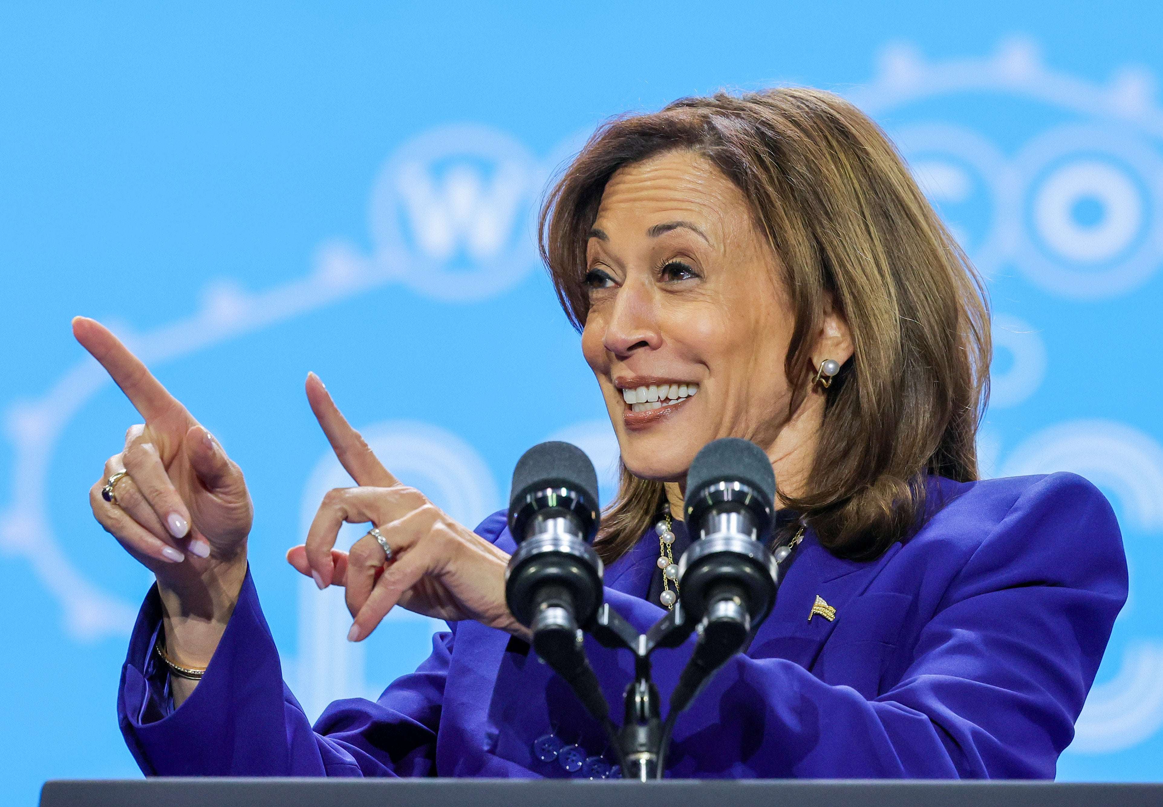 image for Nevada Analyst Says Kamala Harris Wins Swing State in Final Prediction