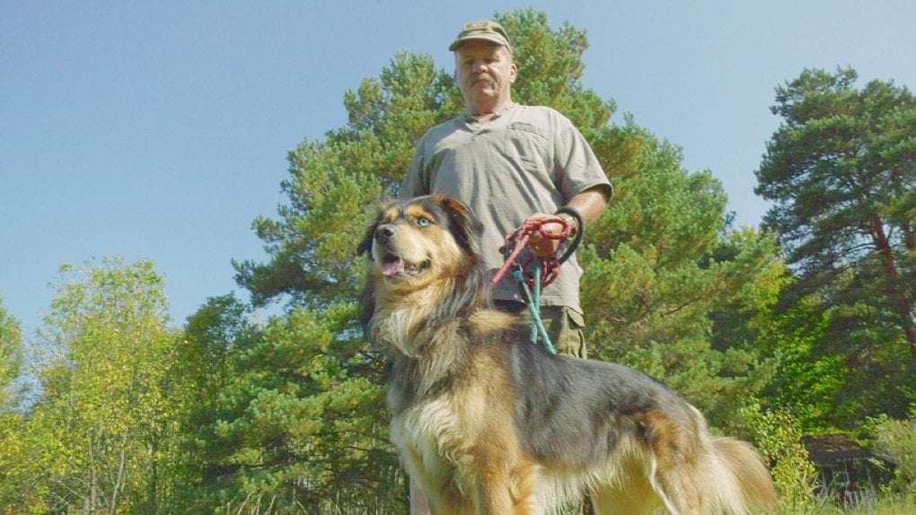 image for Heroic dog saved his northern Ont. owner who had a massive heart attack
