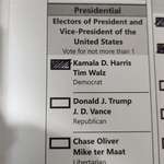 image for Voted in Michigan.