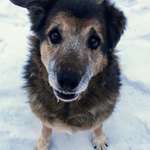 image for My sweet old man to brighten everybody up a bit