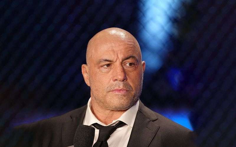 image for Rogan pleads with Trump: Choose unity, not revenge