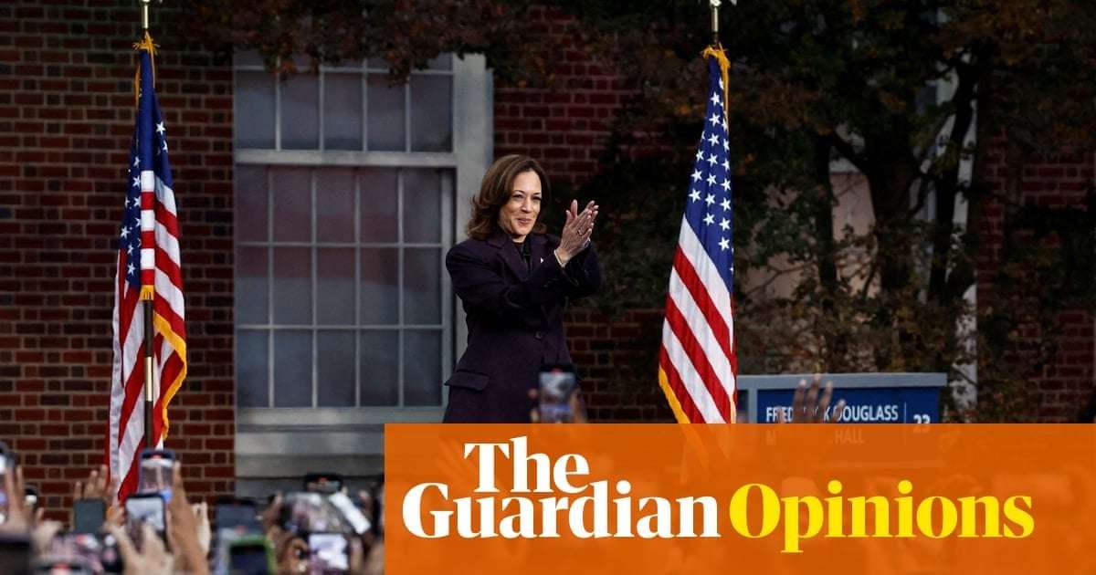 image for I spent hours trying to persuade US voters to choose Harris not Trump. I know why she lost | Oliver Hall