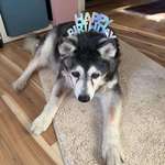image for My best friend turns 18 today!