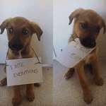 image for He doesn't lie
