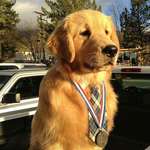image for Mayor Max of Idyllwild