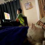 image for I work hard so my cat can have a better life