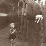 image for Little boy about to receive a Dog for his birthday, 1955