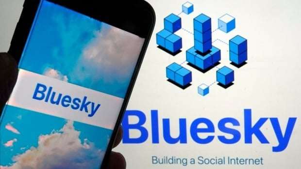 image for Bluesky gains more than 1.25 million followers since U.S. election