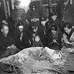 image for The last photo of Hachikō, the dog who waited for his master each day for 9 years until he passed.