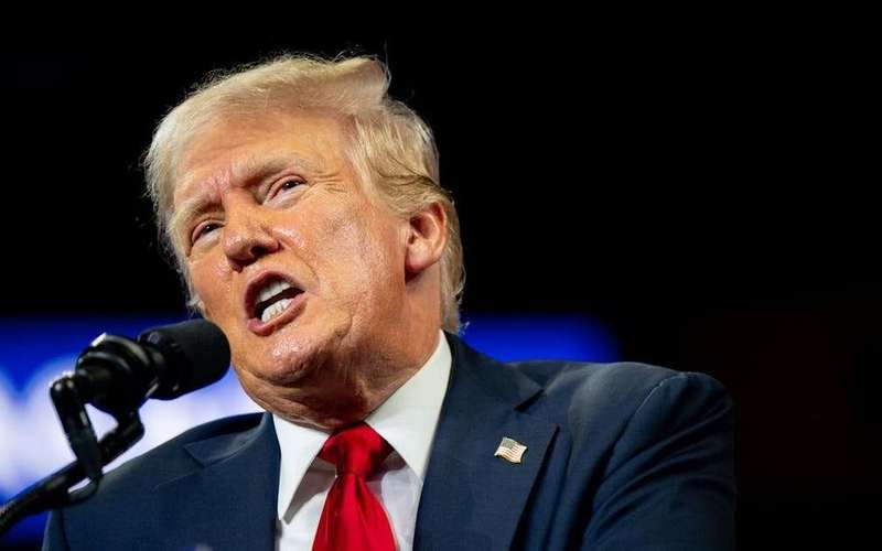 image for Stock Market Tanks as Trump Unveils Nightmare Cabinet Picks
