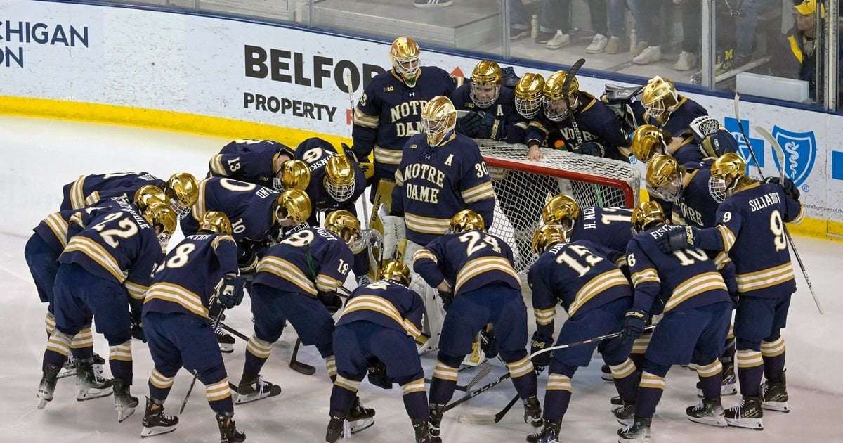 image for Notre Dame Fighting Irish sorry for advising fans travelling to Belfast not to wear Irish symbols