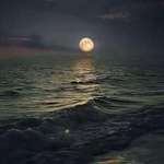 image for The moon and the ocean