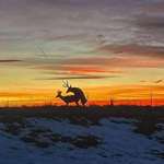 image for Beautiful Sunset in Denver