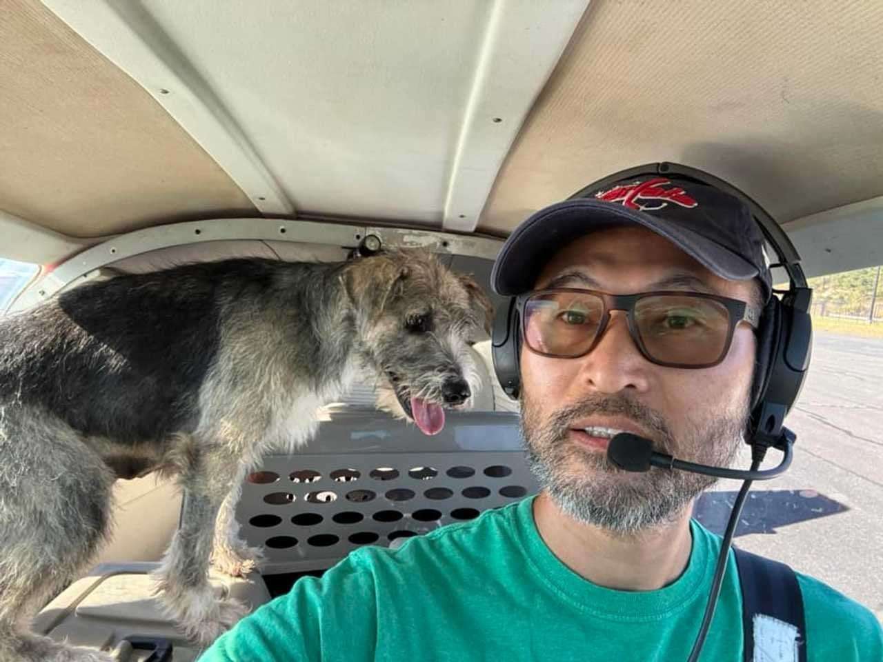 image for Pilot Known For Rescuing Dogs Killed In Plane Crash In Windham: 'A Friend To All'