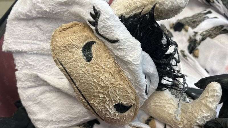 image for Man arrested at LAX after allegedly checking suitcases filled with over 70 pounds of meth-caked clothing, including a cow onesie