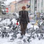 image for Ali Biçicioğlu feeds the birds every day after seeing a person in his dream 20 years ago who said so