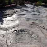 image for Dinosaur footprints in France.