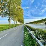 image for This amazing shot in the Netherlands.