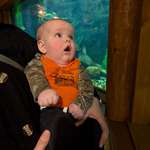 image for My son loves watching fish on YouTube. This was his reaction to seeing them in real life.