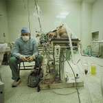 image for A surgeon who completed a successful 23-hour surgery on a nearly unsalvageable patient.