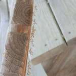 image for A baby praying mantis parade is occurring on the deck chair.
