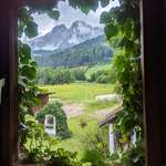 image for A picture my mom took from her window 😳
