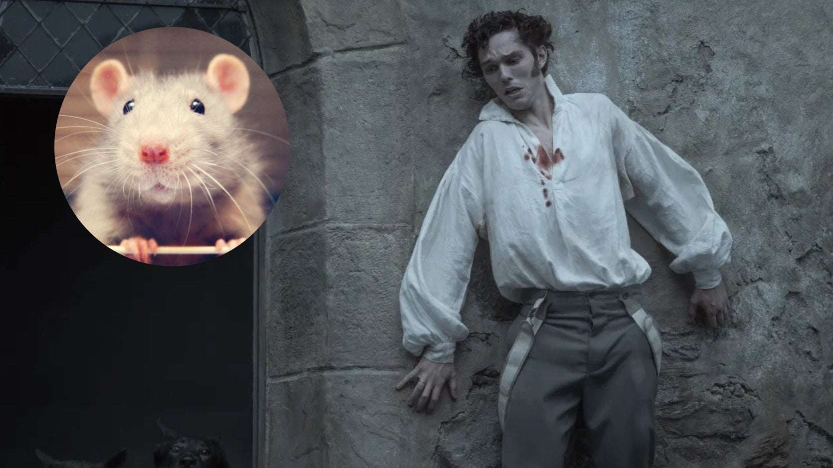 image for PETA to Protest Nosferatu for Promoting “Shameful Stereotypes” of Rats