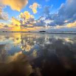 image for A pic of where I scattered my son’s ashes a few years ago.