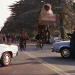 image for CEO's assassin seen evading police still riding a bike.