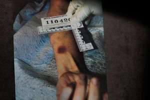 image for 
