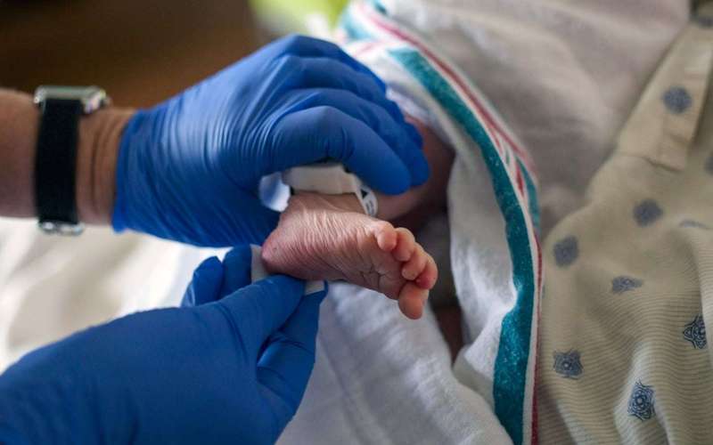 image for Birthright citizenship is a constitutional right