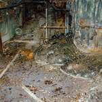 image for Highest-Quality Photo of the Chernobyl elephants foot to date.