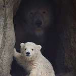 image for Moms are always behind us