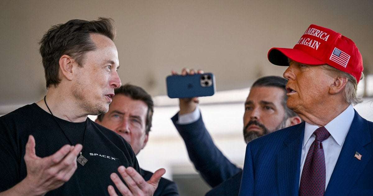 image for Why has Elon Musk joined Trump in meetings with foreign leaders?