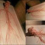 image for Human nervous system which controls literally every thing you do.
