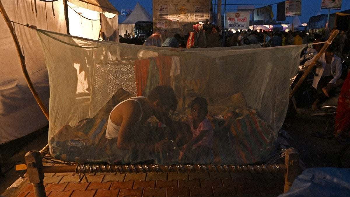 image for WHO World Malaria Report 2024: India’s fight against malaria: Cases drop by 93 percent, deaths by 68 percent in 2023