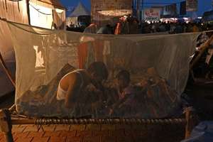 image for 