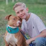 image for This is how Bridger Walker, who saved his younger sister from a German Shepherd in 2020, looks today