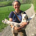 image for I think I found the happiest lamb of all time