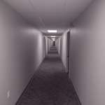 image for Moved into a new apt. Pretty sure if I start walking this hallway, it will just keep getting longer