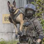 image for German special forces