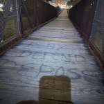 image for Spotted during a run in Durham NC