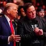 image for President Musk and his running mate