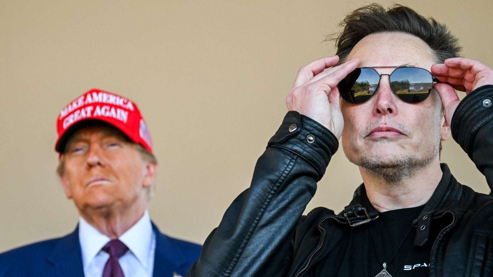 image for Dems Troll Trump by Calling Elon the Real President