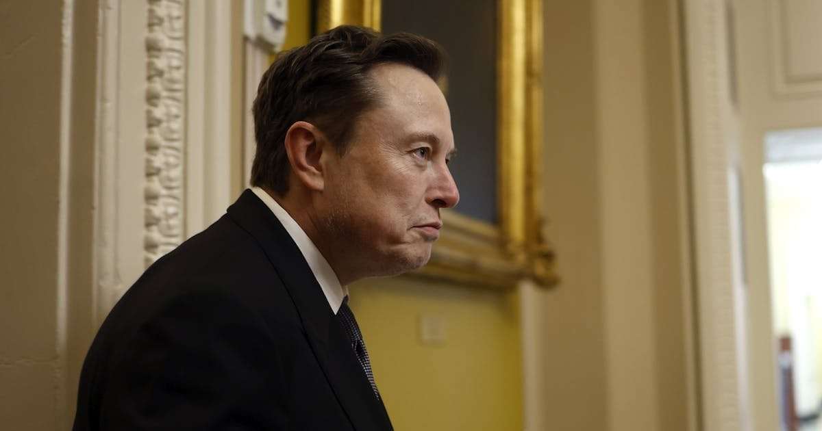 image for Elon Musk Suddenly Realizes He Has No Clue How to Govern