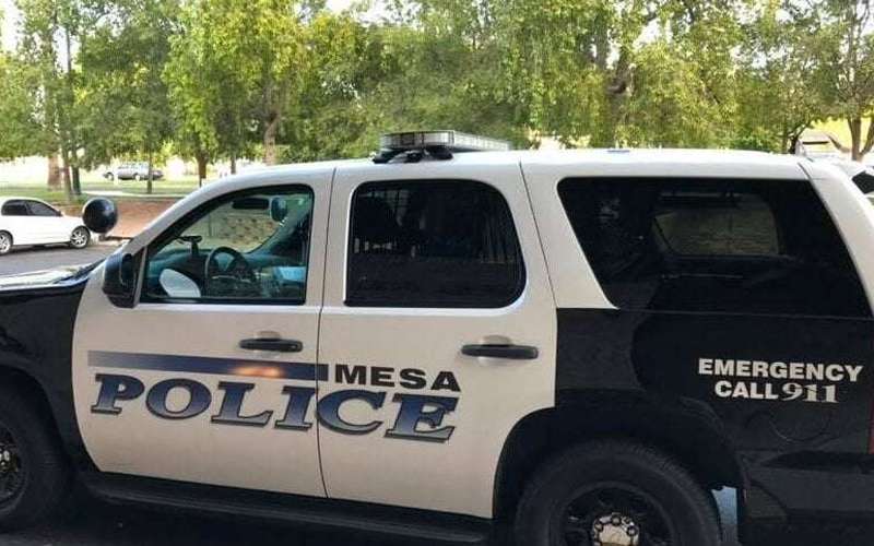 image for Prankster arrested for spraying pesticide on Walmart produce