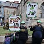 image for Free Luigi demonstrators gather in front of court