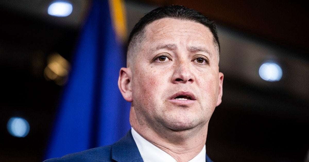 image for GOP congressman says it feels like Elon Musk is 'our prime minister'