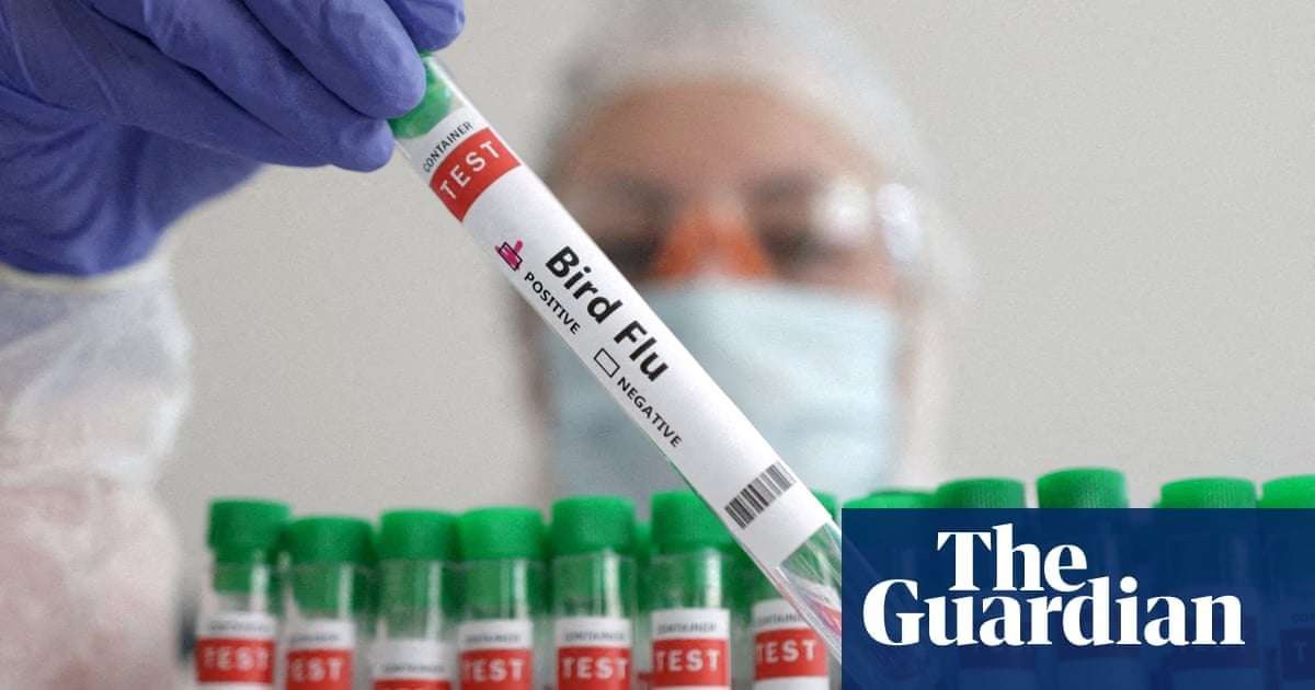 image for Most pregnant women and unborn babies who contract bird flu will die, study finds